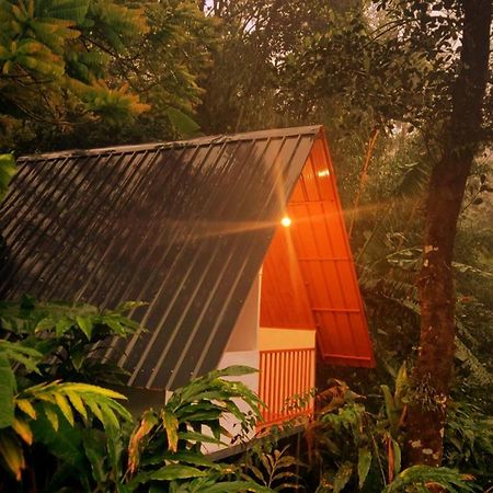 Munnar Home Stay Teadrops Plantation Villa ภายนอก รูปภาพ