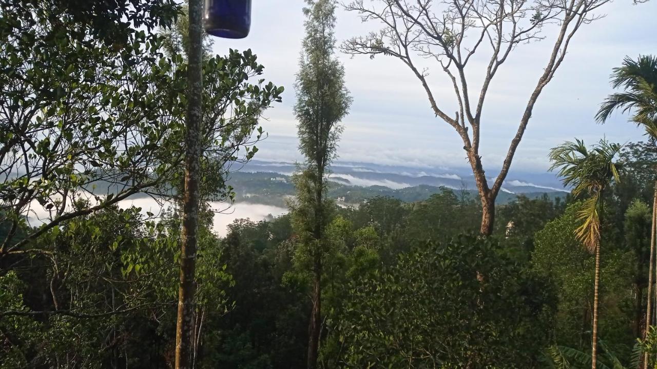 Munnar Home Stay Teadrops Plantation Villa ภายนอก รูปภาพ