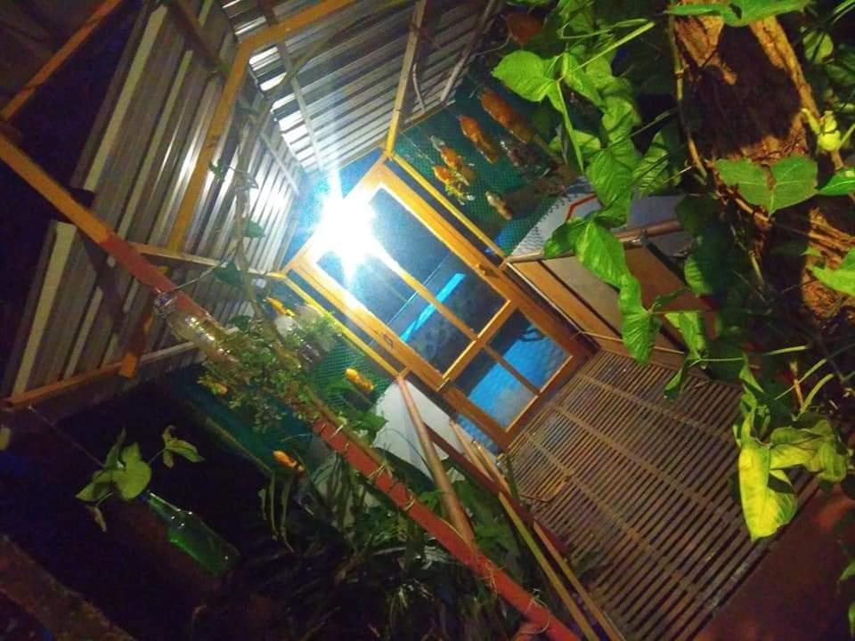 Munnar Home Stay Teadrops Plantation Villa ภายนอก รูปภาพ