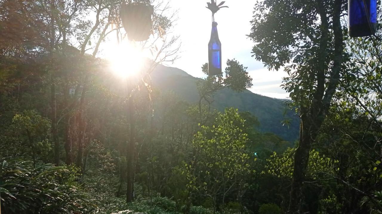 Munnar Home Stay Teadrops Plantation Villa ภายนอก รูปภาพ