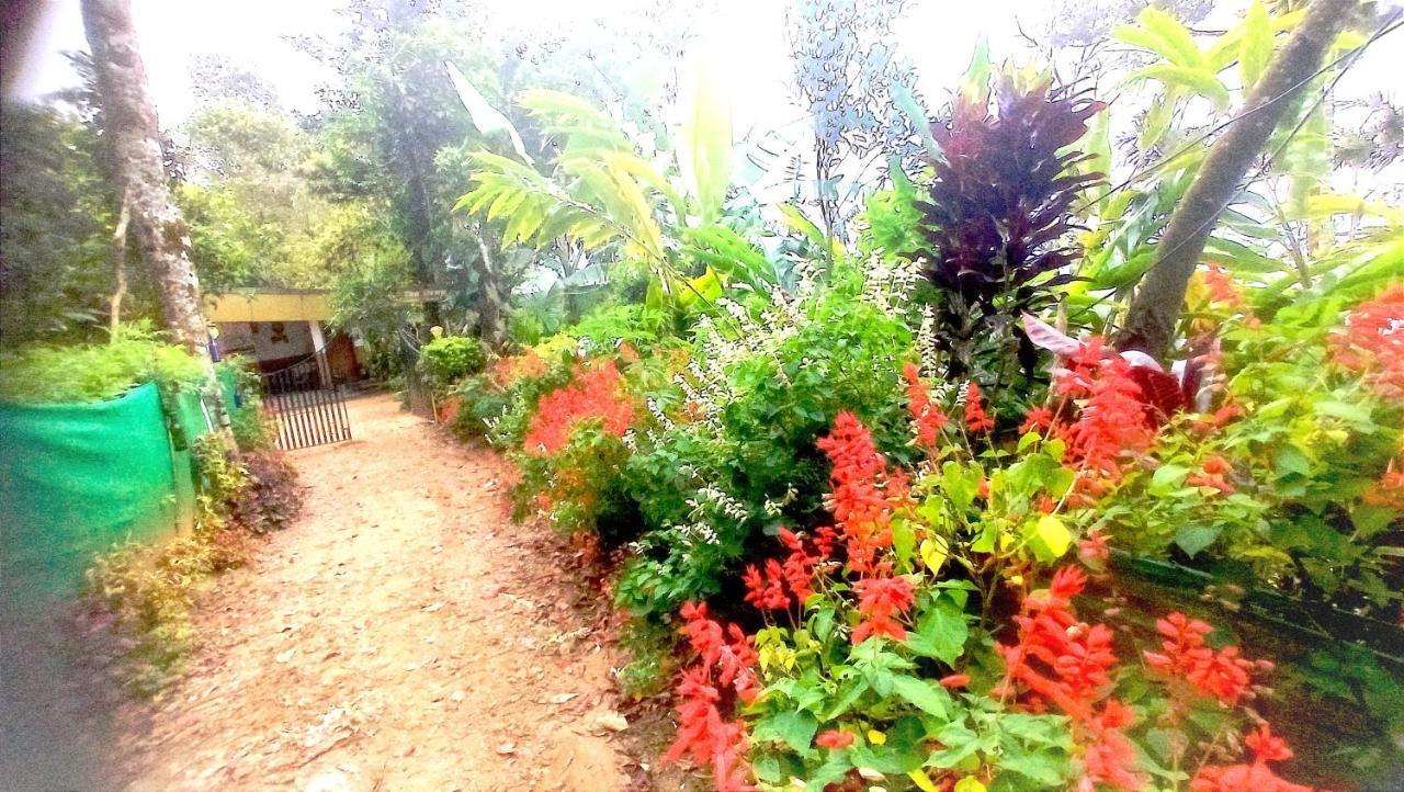 Munnar Home Stay Teadrops Plantation Villa ภายนอก รูปภาพ