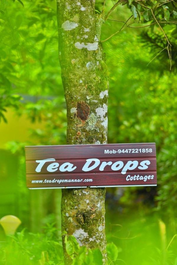 Munnar Home Stay Teadrops Plantation Villa ภายนอก รูปภาพ
