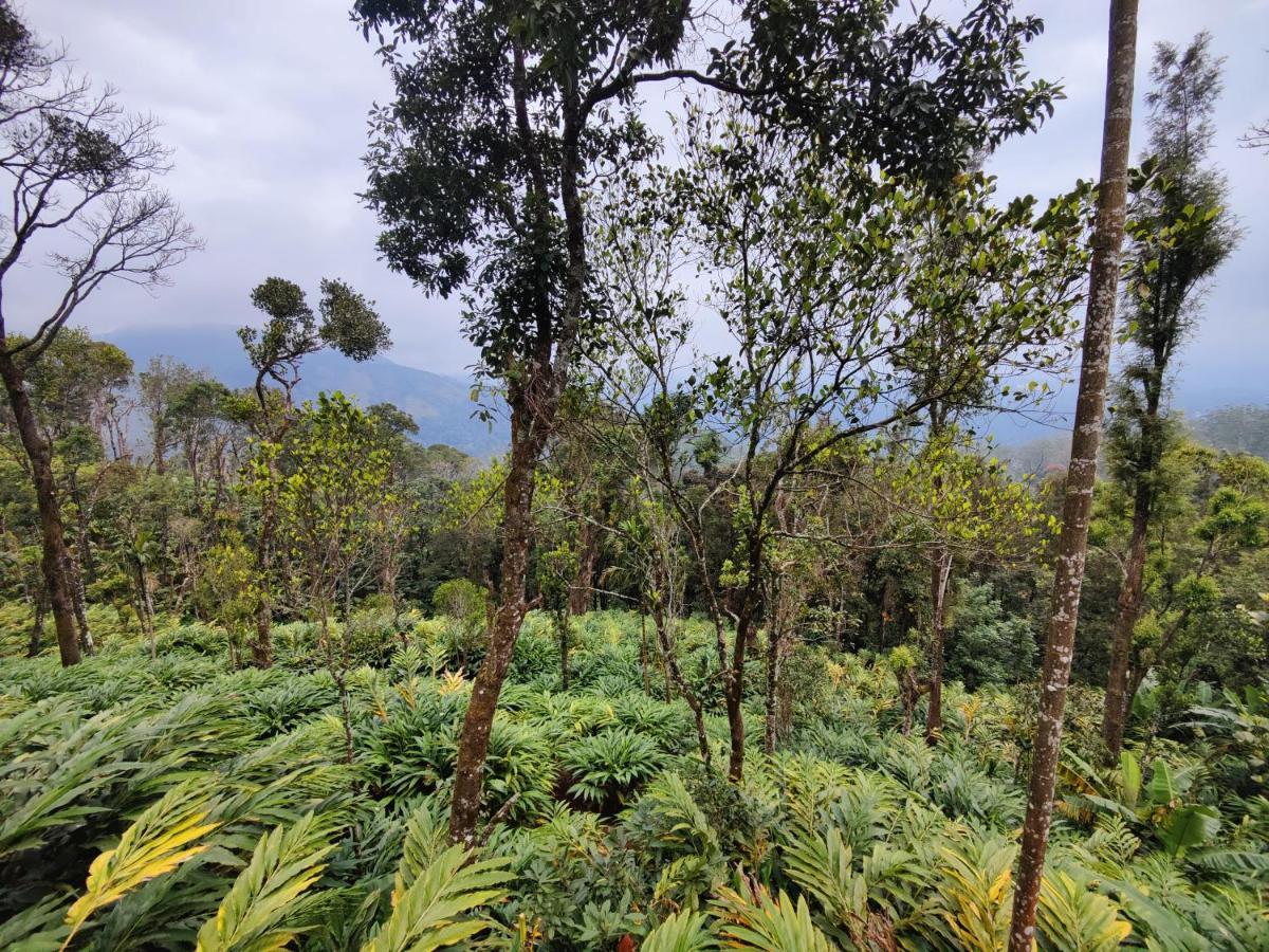 Munnar Home Stay Teadrops Plantation Villa ภายนอก รูปภาพ
