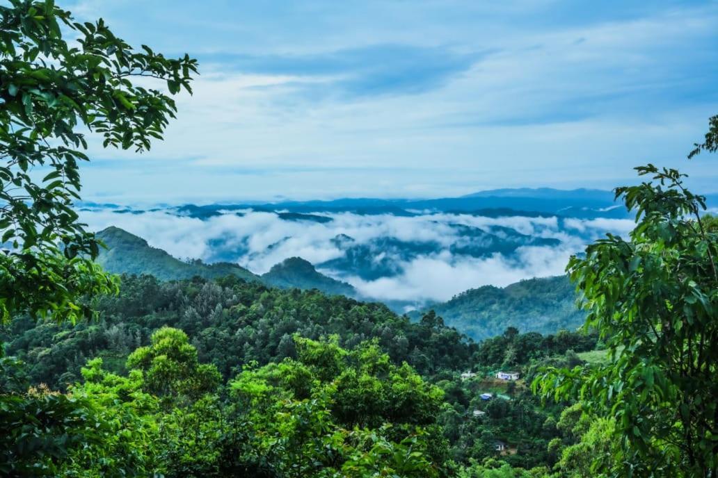 Munnar Home Stay Teadrops Plantation Villa ภายนอก รูปภาพ