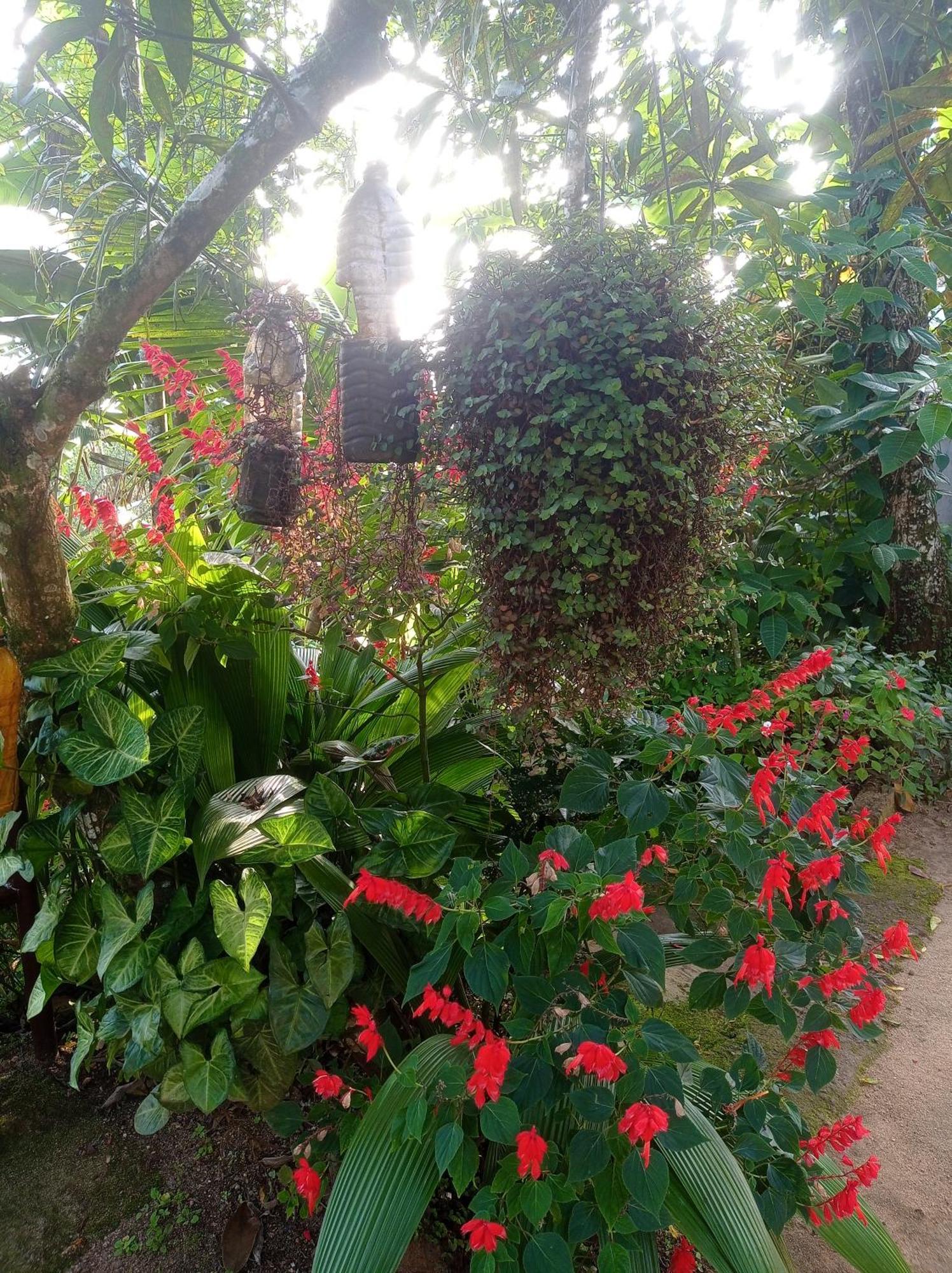 Munnar Home Stay Teadrops Plantation Villa ภายนอก รูปภาพ