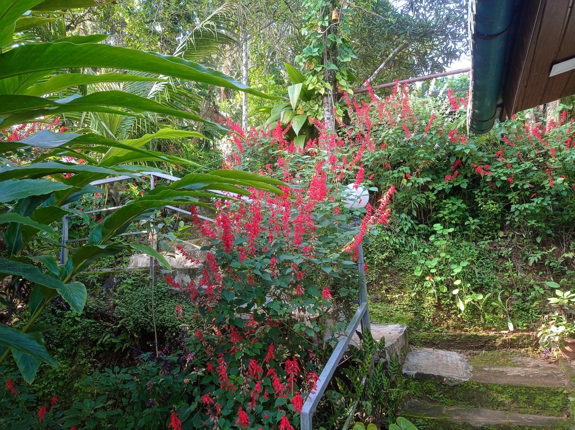 Munnar Home Stay Teadrops Plantation Villa ภายนอก รูปภาพ