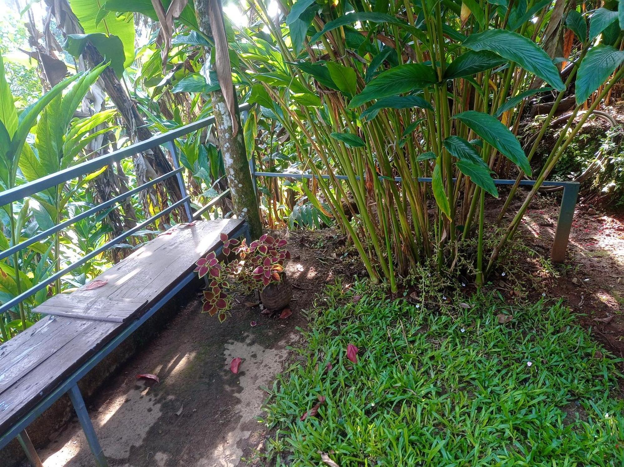 Munnar Home Stay Teadrops Plantation Villa ภายนอก รูปภาพ
