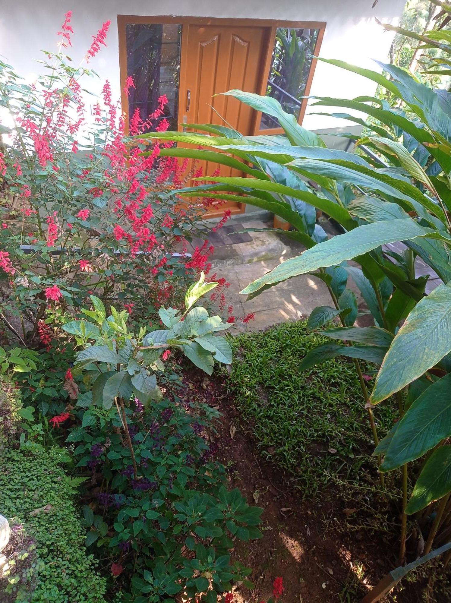 Munnar Home Stay Teadrops Plantation Villa ภายนอก รูปภาพ