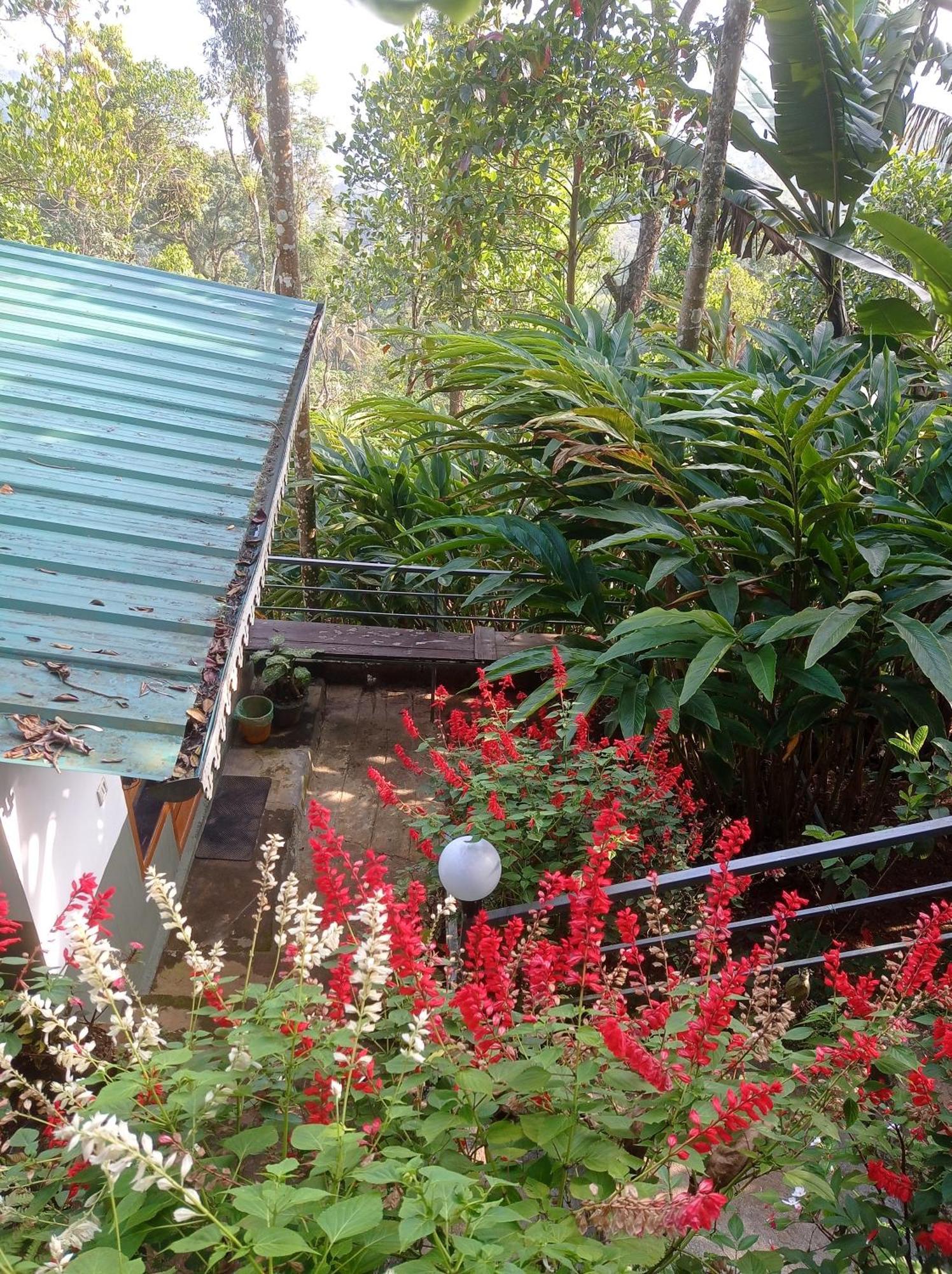Munnar Home Stay Teadrops Plantation Villa ภายนอก รูปภาพ
