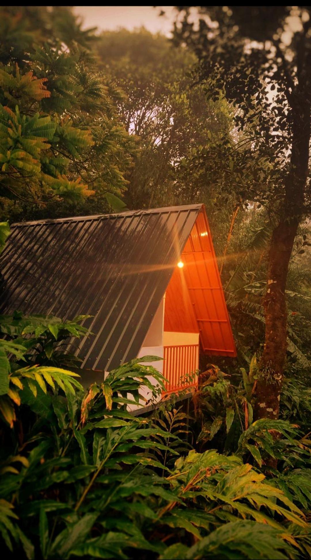 Munnar Home Stay Teadrops Plantation Villa ภายนอก รูปภาพ